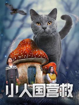 完结高清影视