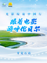 蓝光原盘在线观看