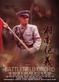 清晰在线播放观看