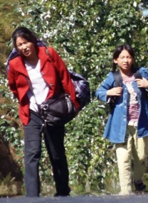 蓝光原盘